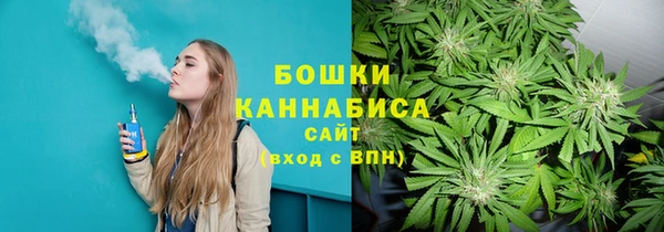 мяу мяу мука Горно-Алтайск