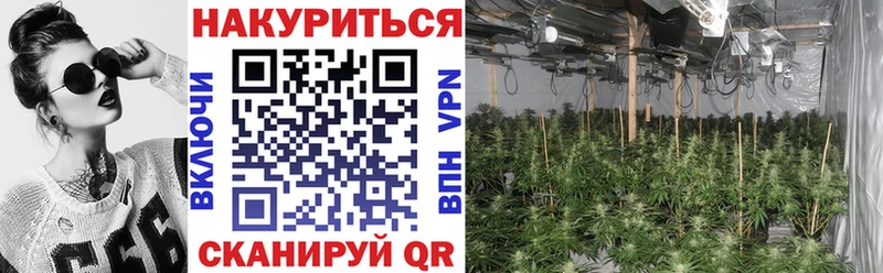 KRAKEN как зайти  купить наркоту  Арзамас  Бошки Шишки White Widow 